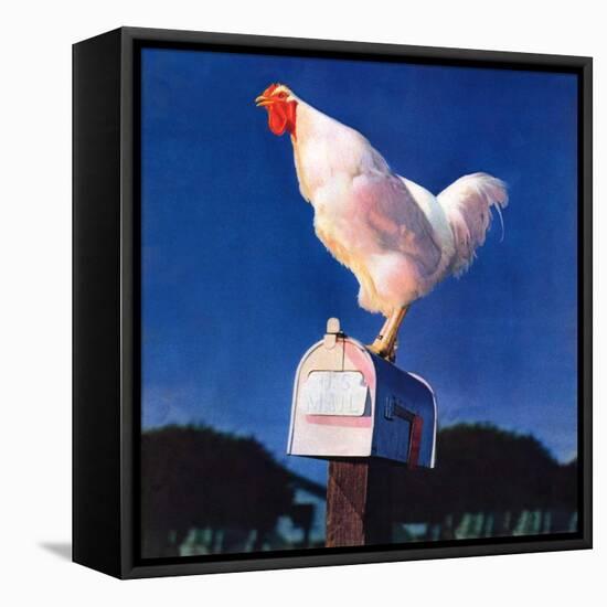 "Rooster on Mailbox,"May 1, 1941-null-Framed Stretched Canvas