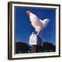 "Rooster on Mailbox,"May 1, 1941-null-Framed Giclee Print