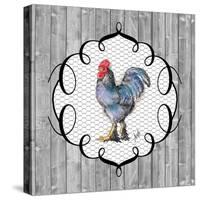 Rooster on the Roost II-Andi Metz-Stretched Canvas