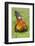 Rooster, Palau-Keren Su-Framed Photographic Print