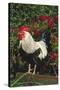 Rooster Perched on Stump by Rose Bush, (Breed- Creme Brabanter) Calamus, Iowa, USA-Lynn M^ Stone-Stretched Canvas