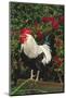 Rooster Perched on Stump by Rose Bush, (Breed- Creme Brabanter) Calamus, Iowa, USA-Lynn M^ Stone-Mounted Photographic Print