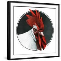 Rooster Photograph-C.R. Patterson-Framed Giclee Print