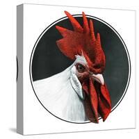 Rooster Photograph-C.R. Patterson-Stretched Canvas