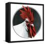 Rooster Photograph-C.R. Patterson-Framed Stretched Canvas