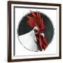 Rooster Photograph-C.R. Patterson-Framed Giclee Print