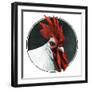 Rooster Photograph-C.R. Patterson-Framed Giclee Print