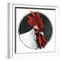 Rooster Photograph-C.R. Patterson-Framed Giclee Print