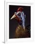 Rooster, Porcelain-Jacob Philipp Hackert-Framed Giclee Print