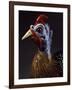 Rooster, Porcelain-Jacob Philipp Hackert-Framed Giclee Print