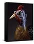 Rooster, Porcelain-Jacob Philipp Hackert-Framed Stretched Canvas