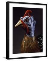 Rooster, Porcelain-Jacob Philipp Hackert-Framed Giclee Print