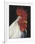 Rooster Portrait I-null-Framed Art Print