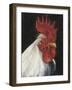 Rooster Portrait I-null-Framed Art Print