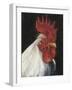 Rooster Portrait I-null-Framed Art Print