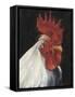 Rooster Portrait I-null-Framed Stretched Canvas