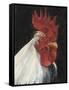 Rooster Portrait I-null-Framed Stretched Canvas