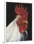 Rooster Portrait I-null-Framed Art Print