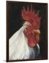 Rooster Portrait I-null-Framed Art Print