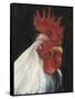 Rooster Portrait I-null-Framed Stretched Canvas