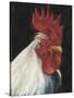 Rooster Portrait I-null-Stretched Canvas