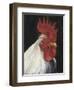 Rooster Portrait I-null-Framed Art Print