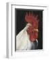 Rooster Portrait I-null-Framed Art Print