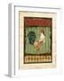 Rooster Portraits III-Daphné B.-Framed Giclee Print