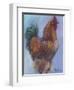 Rooster Red-Marnie Bourque-Framed Premium Giclee Print