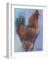 Rooster Red-Marnie Bourque-Framed Giclee Print