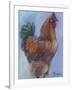 Rooster Red-Marnie Bourque-Framed Giclee Print