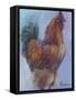 Rooster Red-Marnie Bourque-Framed Stretched Canvas