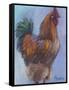 Rooster Red-Marnie Bourque-Framed Stretched Canvas