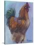 Rooster Red-Marnie Bourque-Stretched Canvas