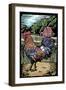 Rooster - Scratchboard-Lantern Press-Framed Art Print