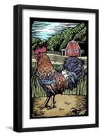 Rooster - Scratchboard-Lantern Press-Framed Art Print