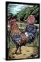 Rooster - Scratchboard-Lantern Press-Stretched Canvas