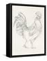 Rooster Sketch I-Ethan Harper-Framed Stretched Canvas