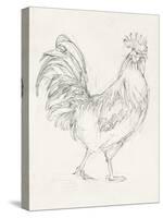 Rooster Sketch I-Ethan Harper-Stretched Canvas