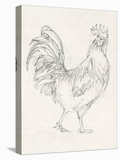 Rooster Sketch I-Ethan Harper-Stretched Canvas