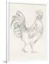 Rooster Sketch I-Ethan Harper-Framed Art Print