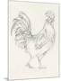 Rooster Sketch I-Ethan Harper-Mounted Art Print