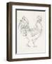 Rooster Sketch I-Ethan Harper-Framed Art Print