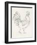 Rooster Sketch I-Ethan Harper-Framed Art Print