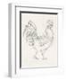 Rooster Sketch I-Ethan Harper-Framed Art Print