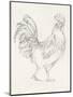 Rooster Sketch I-Ethan Harper-Mounted Art Print