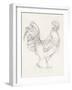 Rooster Sketch I-Ethan Harper-Framed Art Print