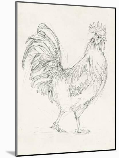Rooster Sketch I-Ethan Harper-Mounted Art Print