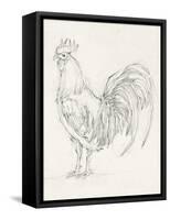 Rooster Sketch II-Ethan Harper-Framed Stretched Canvas