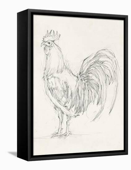 Rooster Sketch II-Ethan Harper-Framed Stretched Canvas